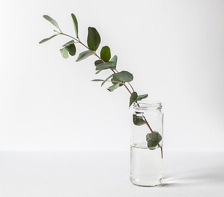 Branch in a Glass Jar