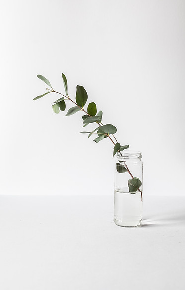 Branch in a Glass Jar