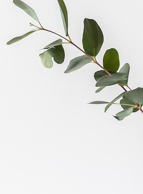 Branch in a Glass Jar