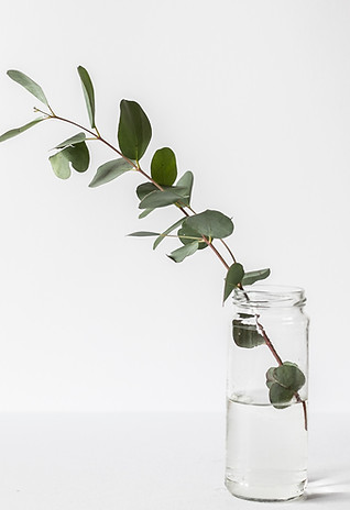 Branch in a Glass Jar
