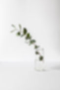 Branch in a Glass Jar