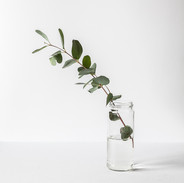 Branch in a Glass Jar