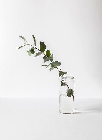 Branch in a Glass Jar