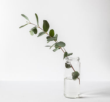 Branch in a Glass Jar