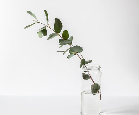 Branch in a Glass Jar