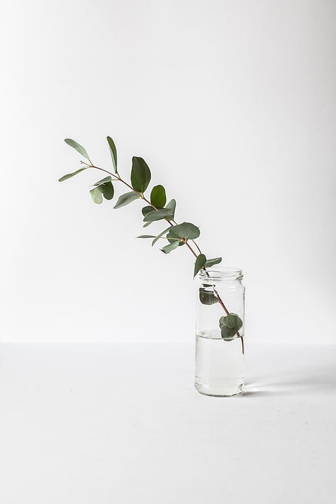 Eucalyptus in glass jar