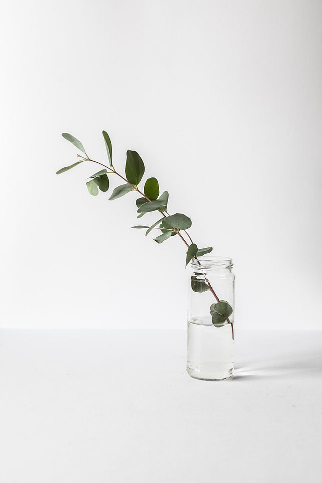 Branch in a Glass Jar
