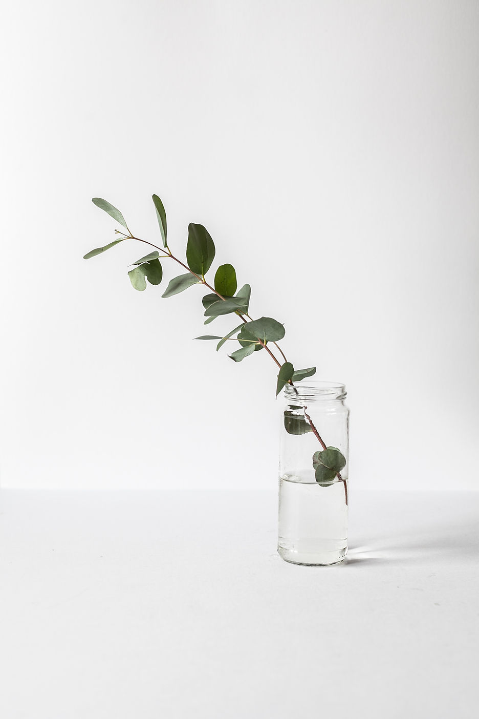 Branch in a Glass Jar