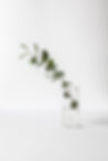 Branch in a Glass Jar