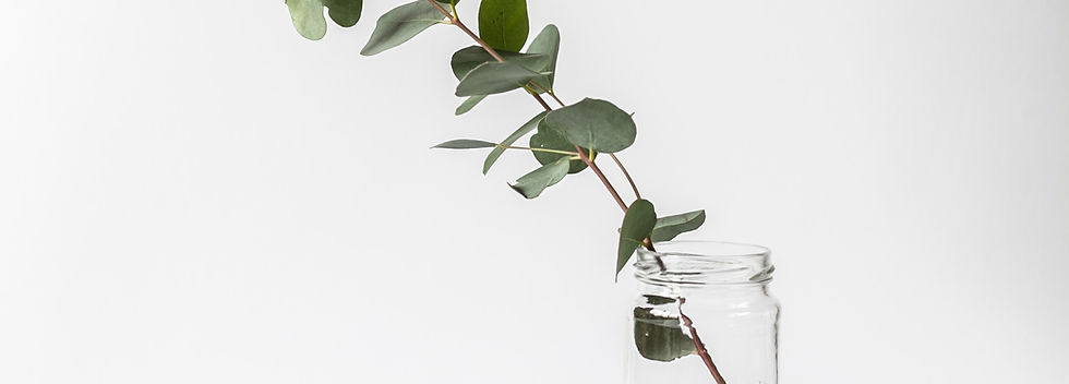 Branch in a Glass Jar