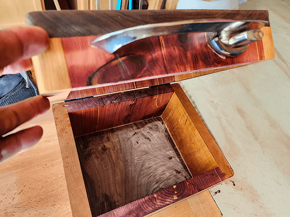 Exotic | Mixed Wood Box