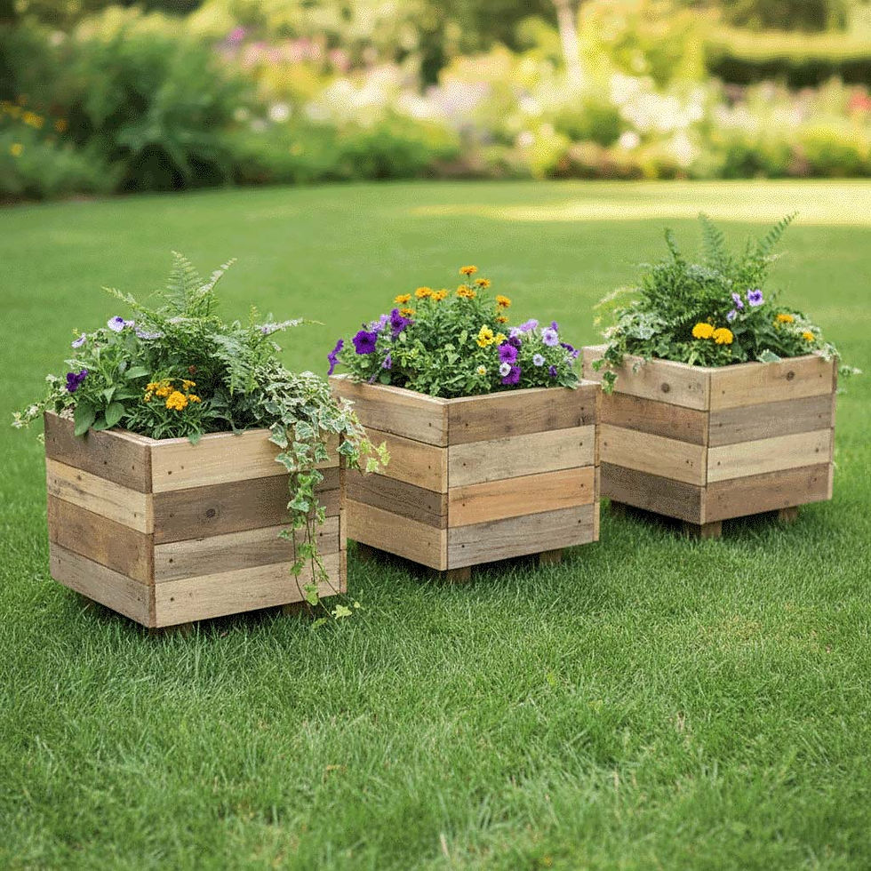 Planter Boxes