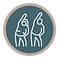 TBH - Mobility Assist