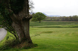 Killarny 2012 (30).jpg