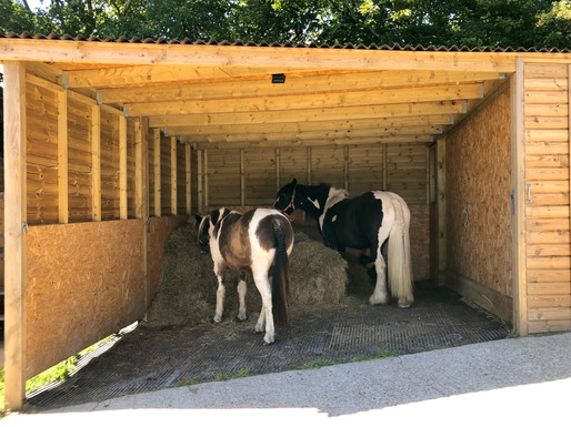 Feeding Station