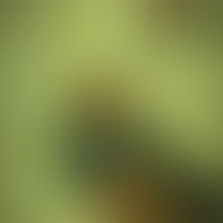  Catching vibes of cinematic value within your day