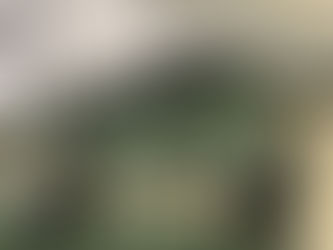 From Mistake to Movement: The Academic Integrity Campaign