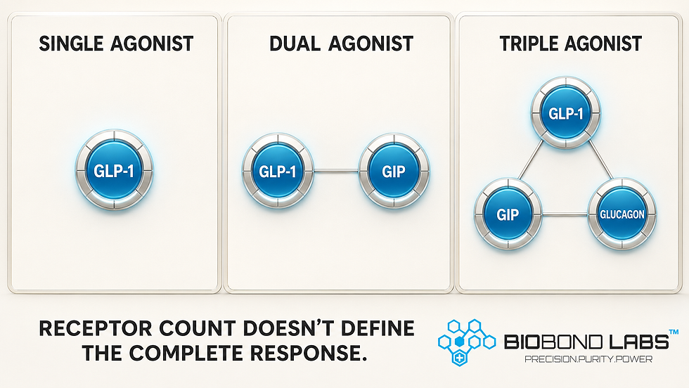Infographic comparing single GLP-1, dual GLP-1 and GIP, and triple GLP-1, GIP, and glucagon receptor agonism.