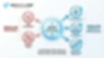 Infographic showing AMPK activation reducing lipid accumulation and improving glucose uptake.