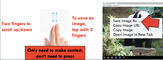 Trackpad.png
