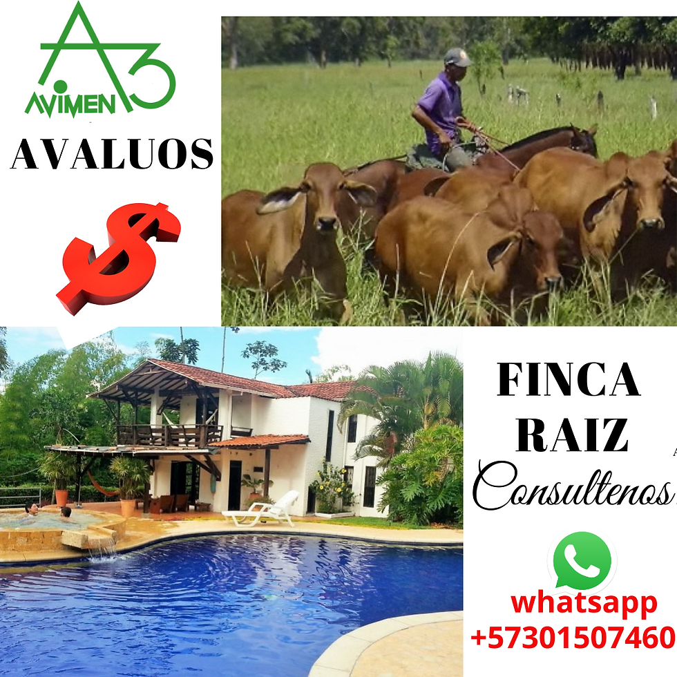 AVALUO RURAL