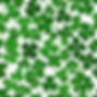 4 leaf clovers in vertical link.jpg