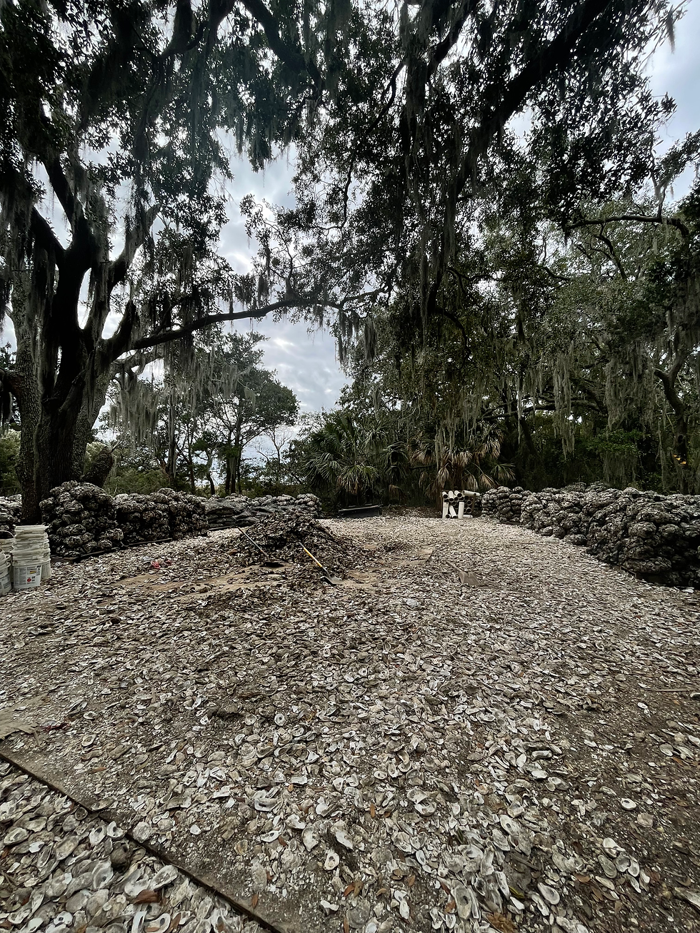 Charleston Oyster Reef Restoration