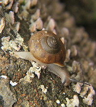 IMG_3324.JPG
