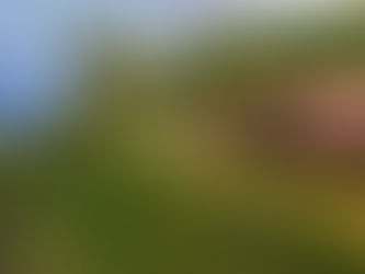 Best Villas with Stunning Views in Mahabaleshwar by Lifeline Villas