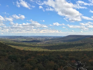 Launching TechnoLegal