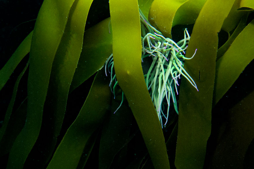 P1230716.jpg