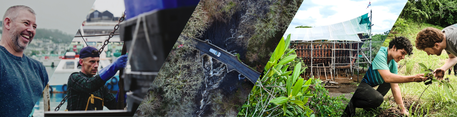 Website Banner.png