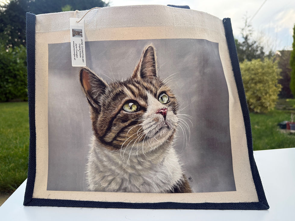 Thumbnail: 'Looking Beyond' - Tabby Jute Bag