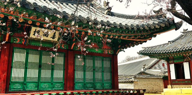 Four Tiny Jews in Korea: Jacobs Family Vacation Part 5