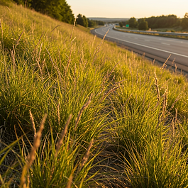 The Power of Hydroseeding: Top Benefits for Thriving Natural Landscapes