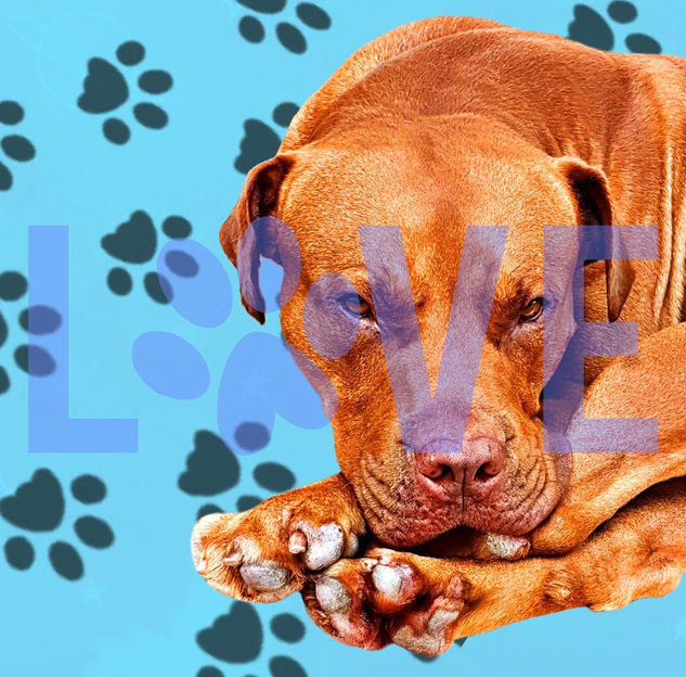 013d73e9d76763e45fea1dffd22b4ac77bb5940de0 - Copy.jpg