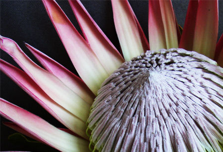 01c4b00dd4c56d31d2f51d60f4e54bb612bf695650 - Copy.jpg