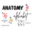 Thumbnail: Human Anatomy Alphabet Cards