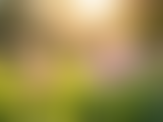 Discovering the Path to Inner Peace