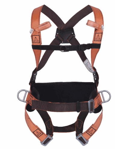 basic harness with positioning belt.gif