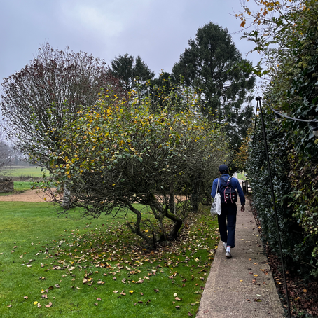Heading to a Wedding 3.11.24