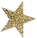 493-4935635_gold-sparkly-star-freetoedit