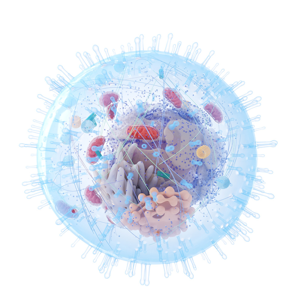 Diagnosing Mitochondrial Dysfunction