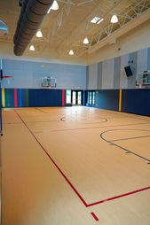 FSorb for Gyms