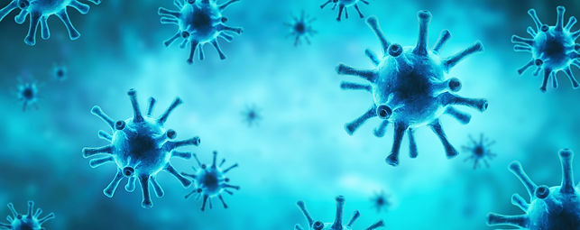 immune system 1234.jpeg
