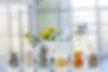 Nutrition Consultation 