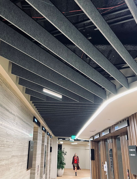 FSorb Eco-Friendly Wall and Ceiling Acoustic Panels