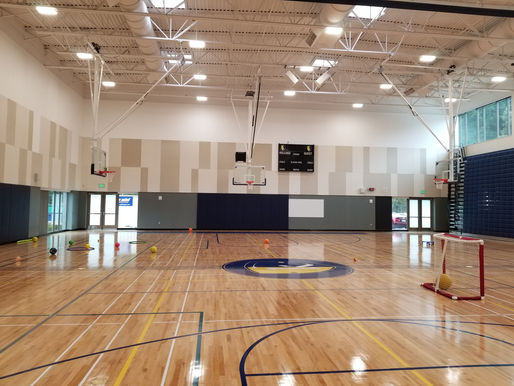 Wall Sound Panels for Gyms