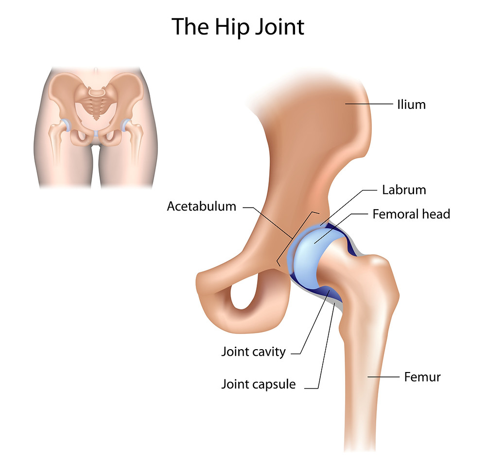 What causes hip pain?