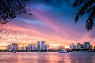 Palm Beach - Marketing.jpeg